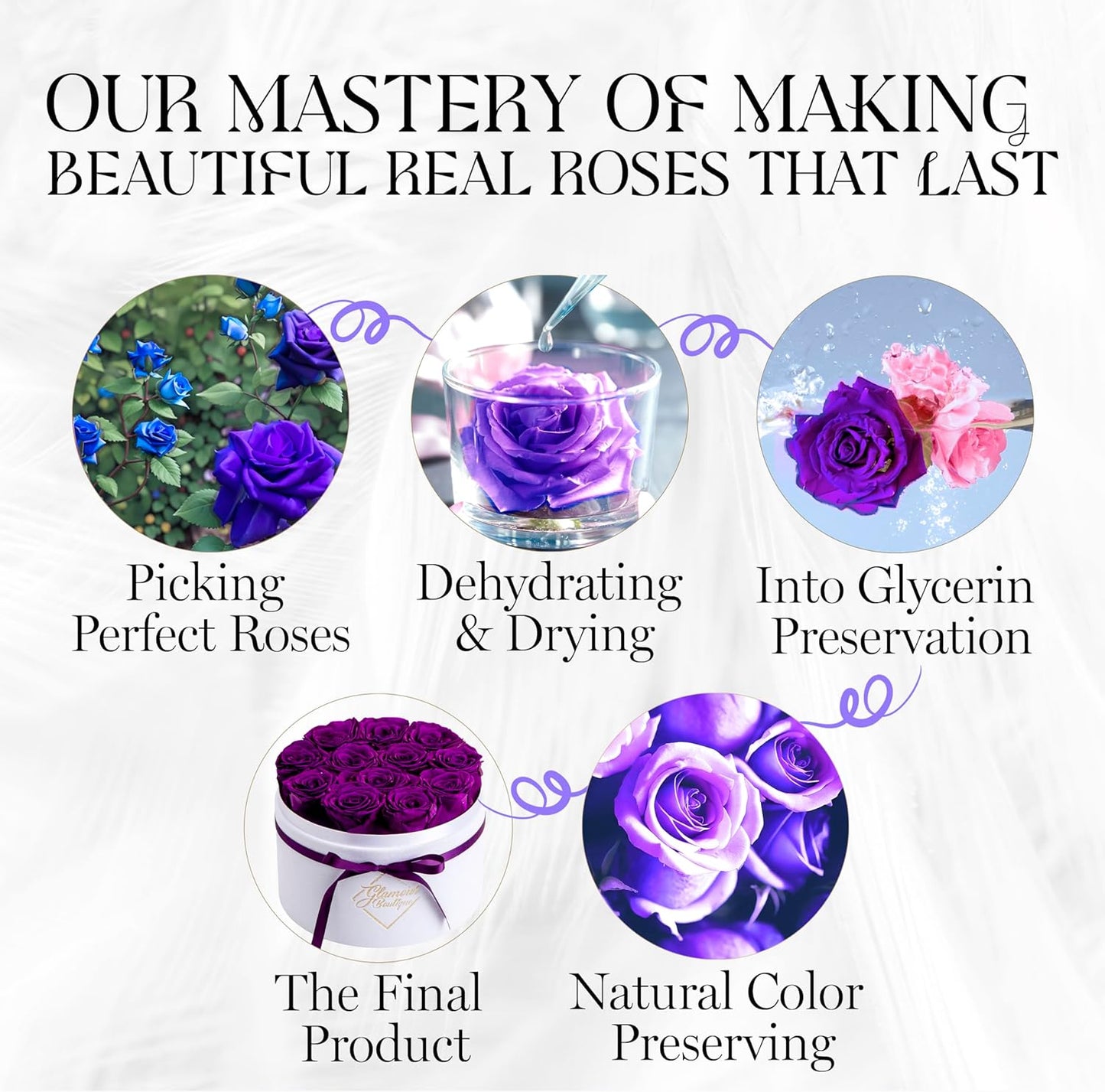 Forever Flower Gift Box: 12 Real Preserved Roses in Round Velvet White Box, Handmade, Rose Petals, Birthday, Marriage,Anniversary, Graduation - Purple