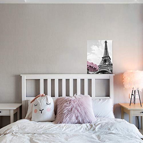 Paris Eiffel Tower Canvas Wall Art Decor Black & White 12x16"