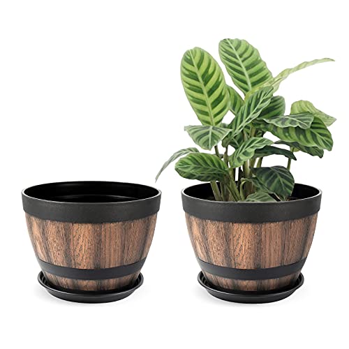 9 inch plant pots 9 Inch Plant Pots w/ Drainage Holes & Saucer,2 Pack Brown – DANNY'S HOME GOODS