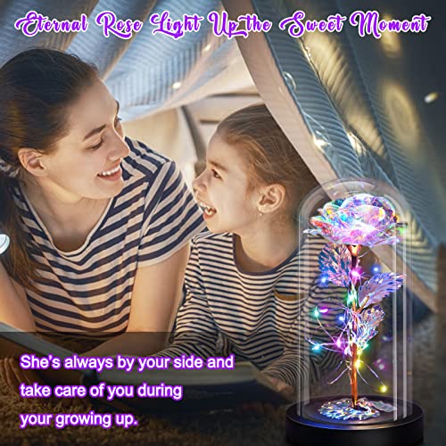 Enchanted Galaxy Light Up Butterfly Rose Gifts in Glass Dome