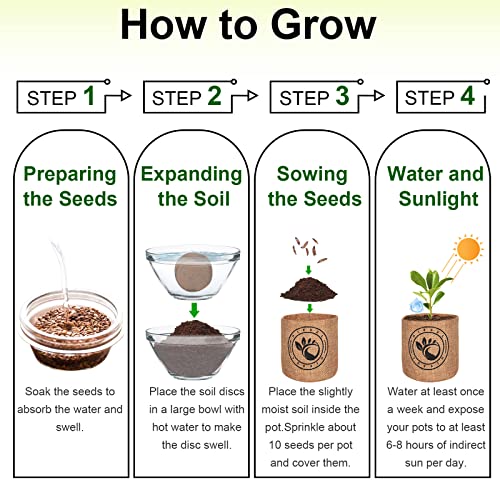 Bonsai Tree kit -NIFSEL Bonsai Growing Kit - Complete Starter kit, 5 Types of Trees - Culture Medium, Plant Marker