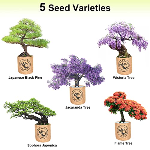 Bonsai Tree kit -NIFSEL Bonsai Growing Kit - Complete Starter kit, 5 Types of Trees - Culture Medium, Plant Marker