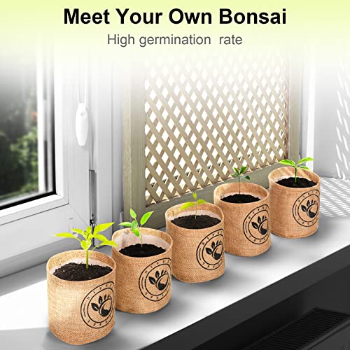 Bonsai Tree kit -NIFSEL Bonsai Growing Kit - Complete Starter kit, 5 Types of Trees - Culture Medium, Plant Marker