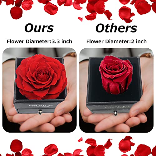 Preserved Rose w/ I Love You Necklace on Mothers Day/Valentines/Birthday