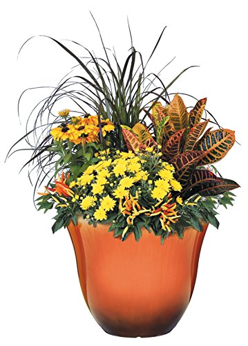 honeysuckle plant pot Honeysuckle Planter, Patio Pot, 15" Tequila Sunrise – DANNY'S HOME GOODS