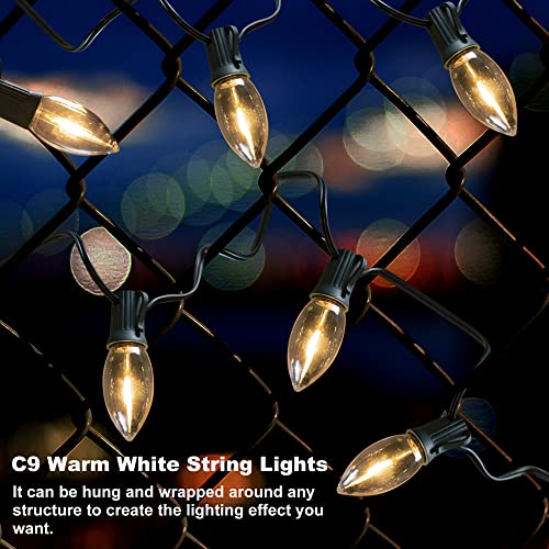 24.2 feet 20 LED C9 Christmas Pathway Lights