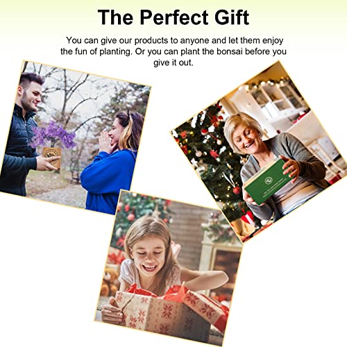 Bonsai Tree kit -NIFSEL Bonsai Growing Kit - Complete Starter kit, 5 Types of Trees - Culture Medium, Plant Marker