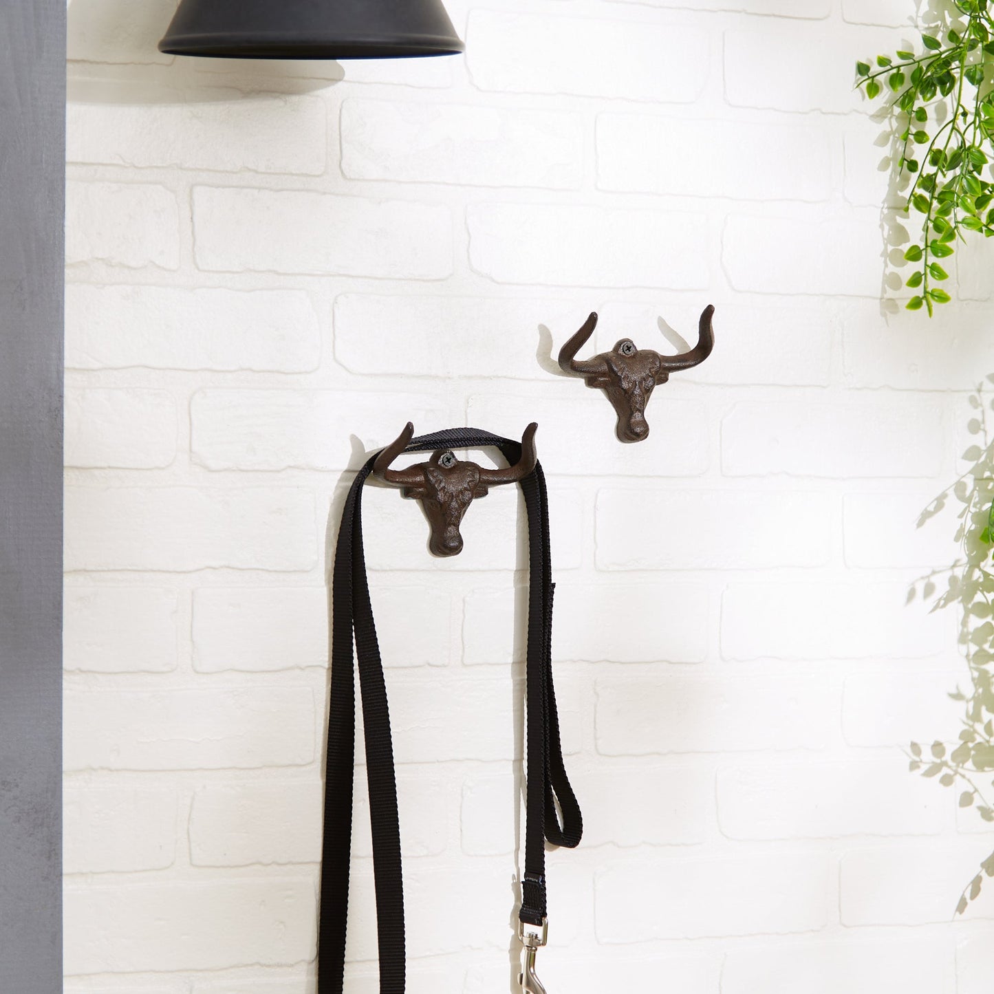 Ox Wall Hook Set of 2
