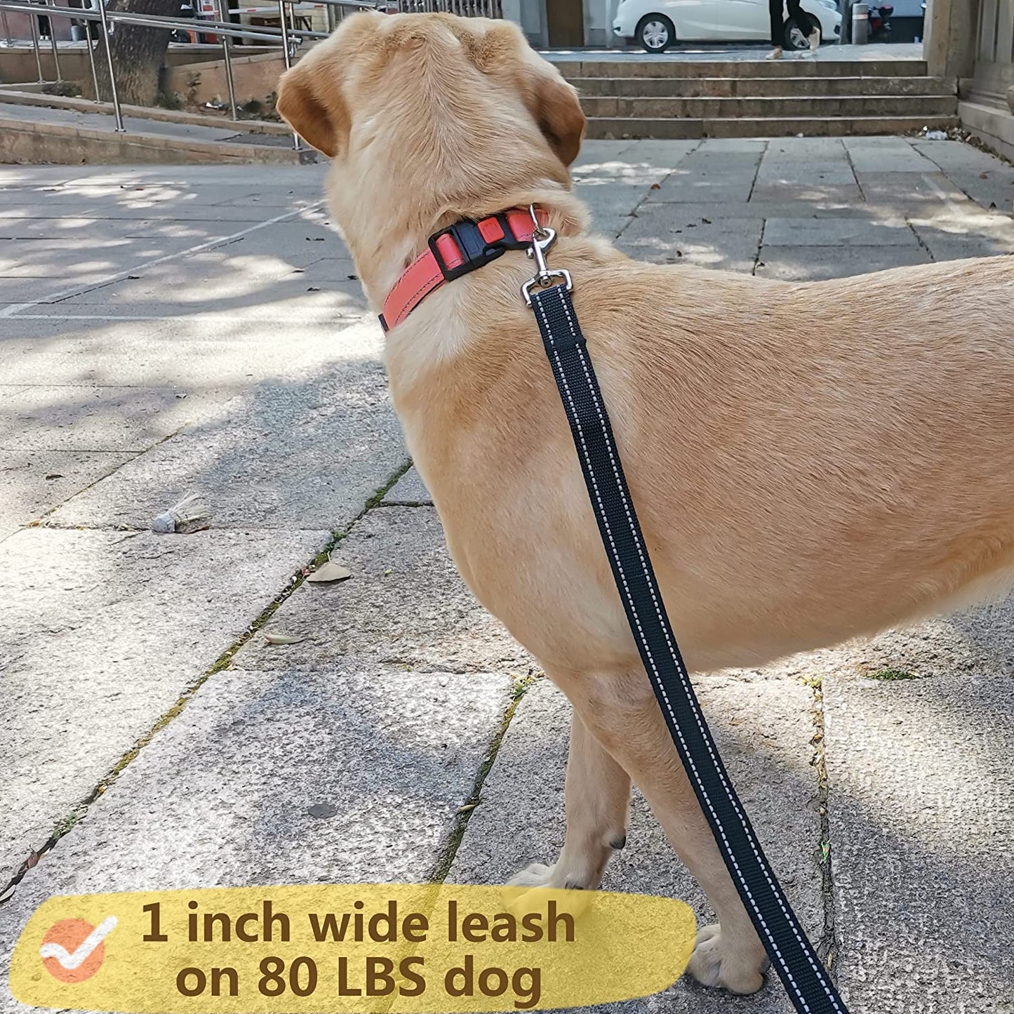6FT Reflective Dog Leash for Large&Medium and Small Dogs, Strong and Durable (Black, 1 inch X 6FT)