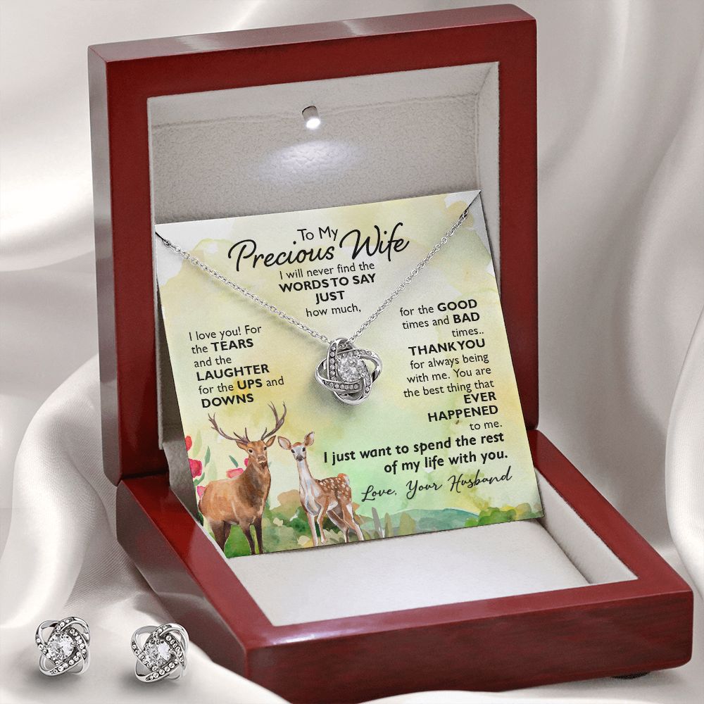 To My Precious Wife-I will never find the WORDS Love Knot Earring & Necklace Set