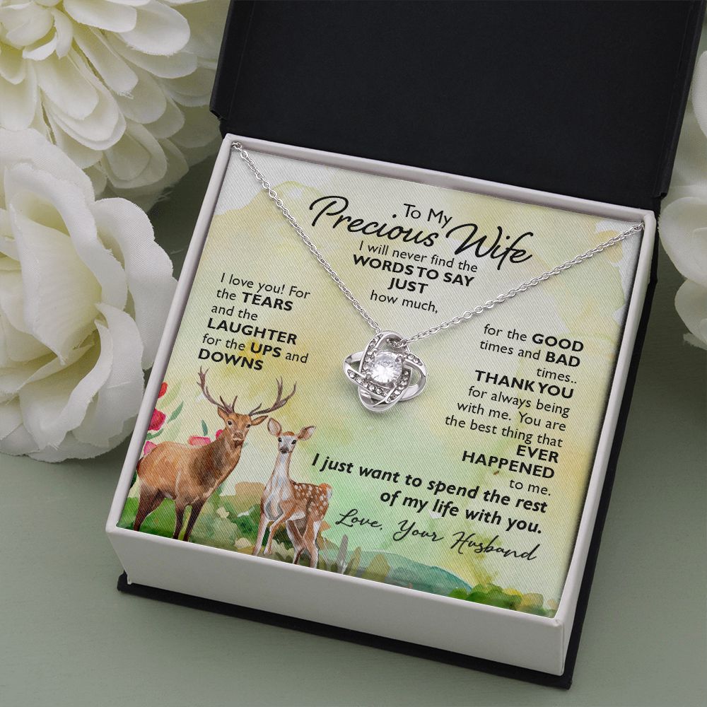 To My Precious Wife I will never find the words to say just how much I Love You Knot Necklace gift set