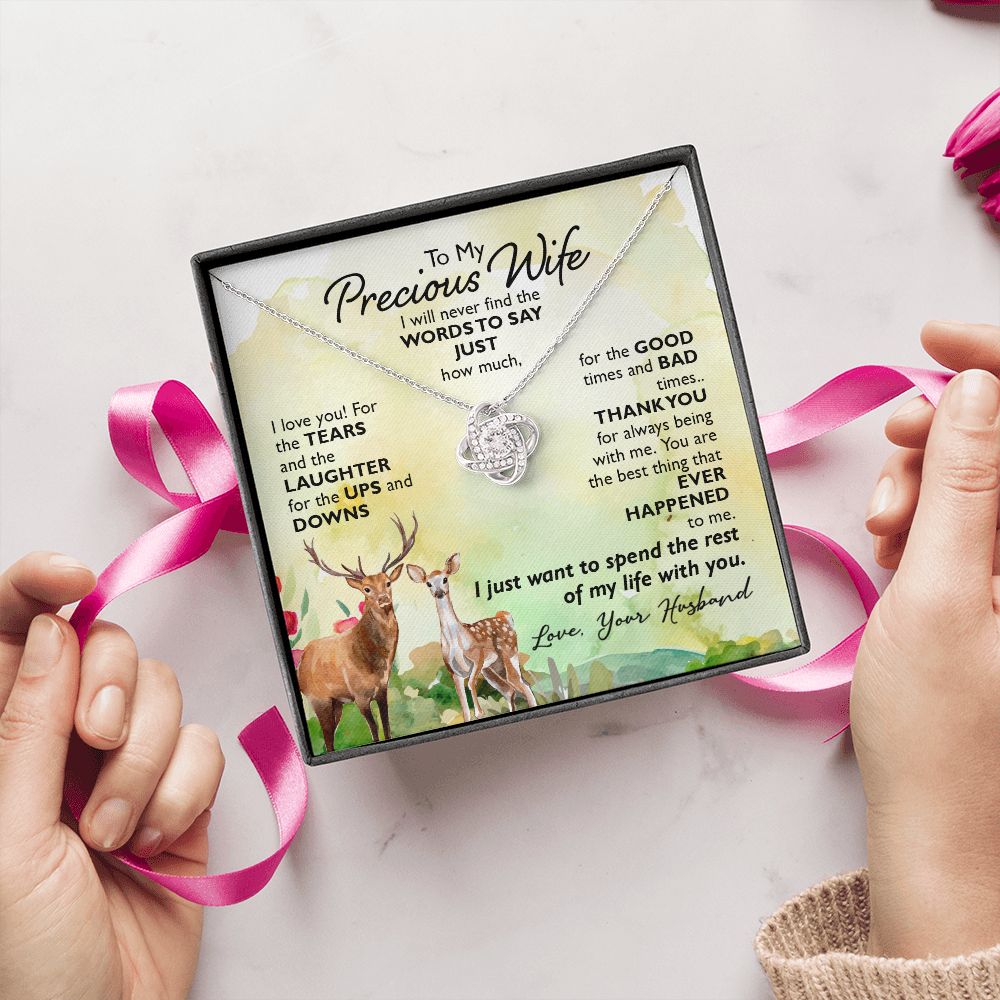 To My Precious Wife I will never find the words to say just how much I Love You Knot Necklace gift set