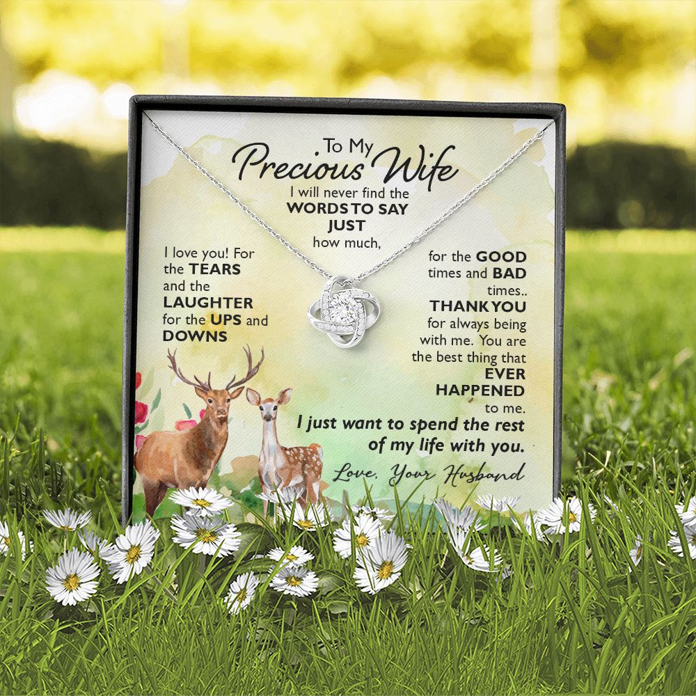 To My Precious Wife I will never find the words to say just how much I Love You Knot Necklace gift set
