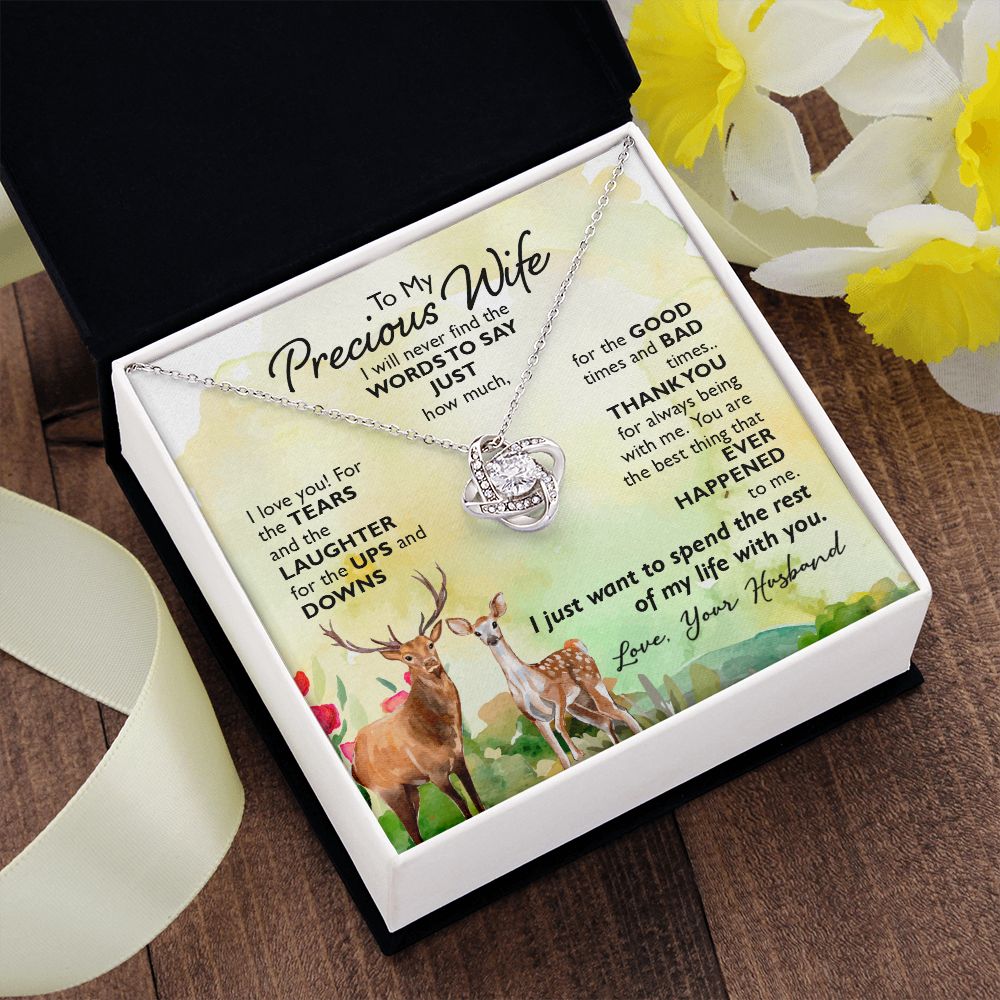 To My Precious Wife I will never find the words to say just how much I Love You Knot Necklace gift set