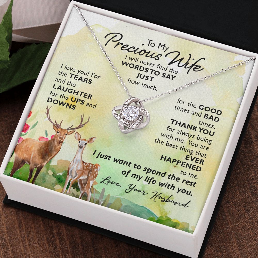 To My Precious Wife I will never find the words to say just how much I Love You Knot Necklace gift set