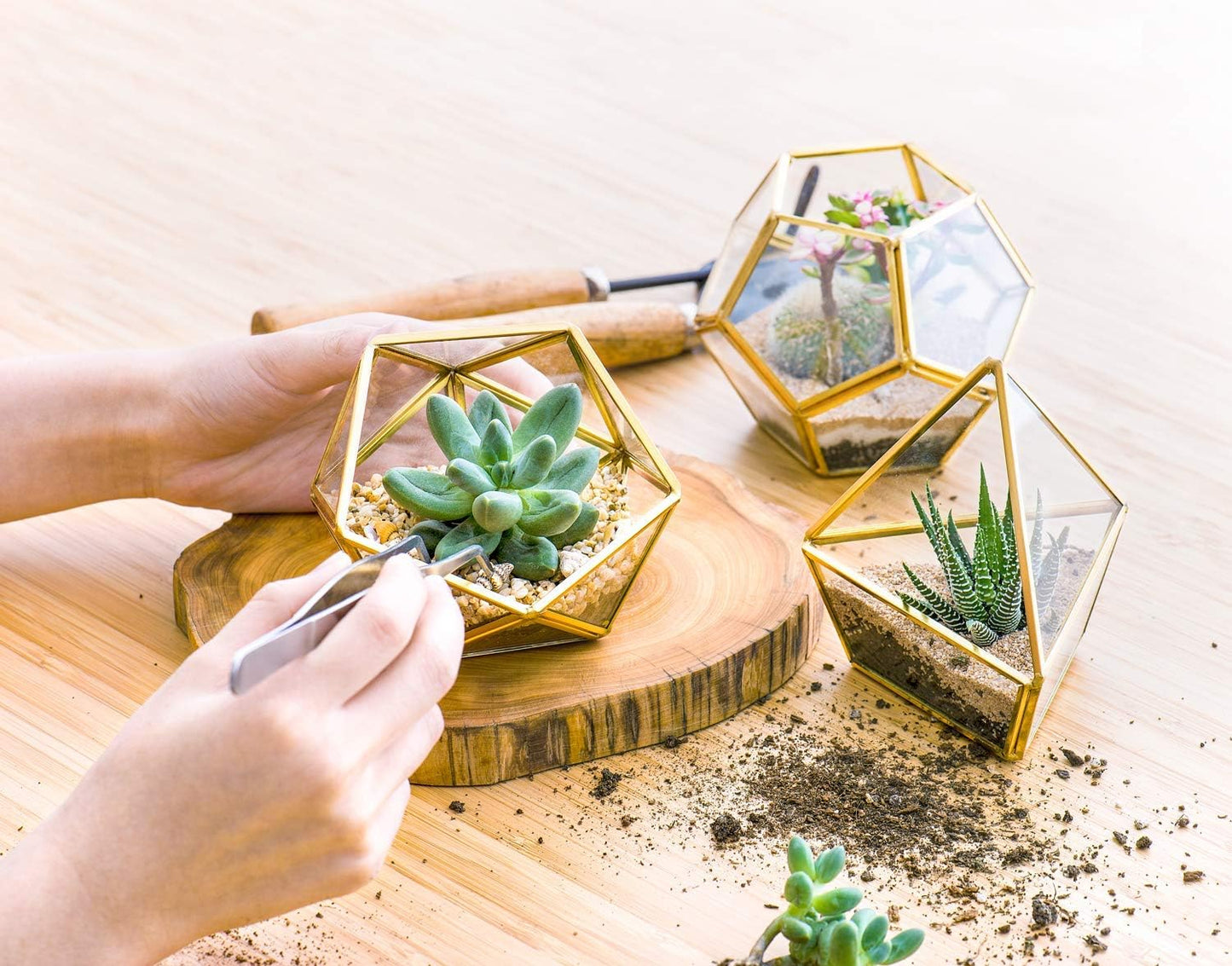 Artificial Succulent in 3 Pack Mini Glass Geometric Terrarium, Miniature Potted Faux Plant Bookshelf Desk Boho Office Room Decor for Women Girls Dorm Gift Idea, Gold