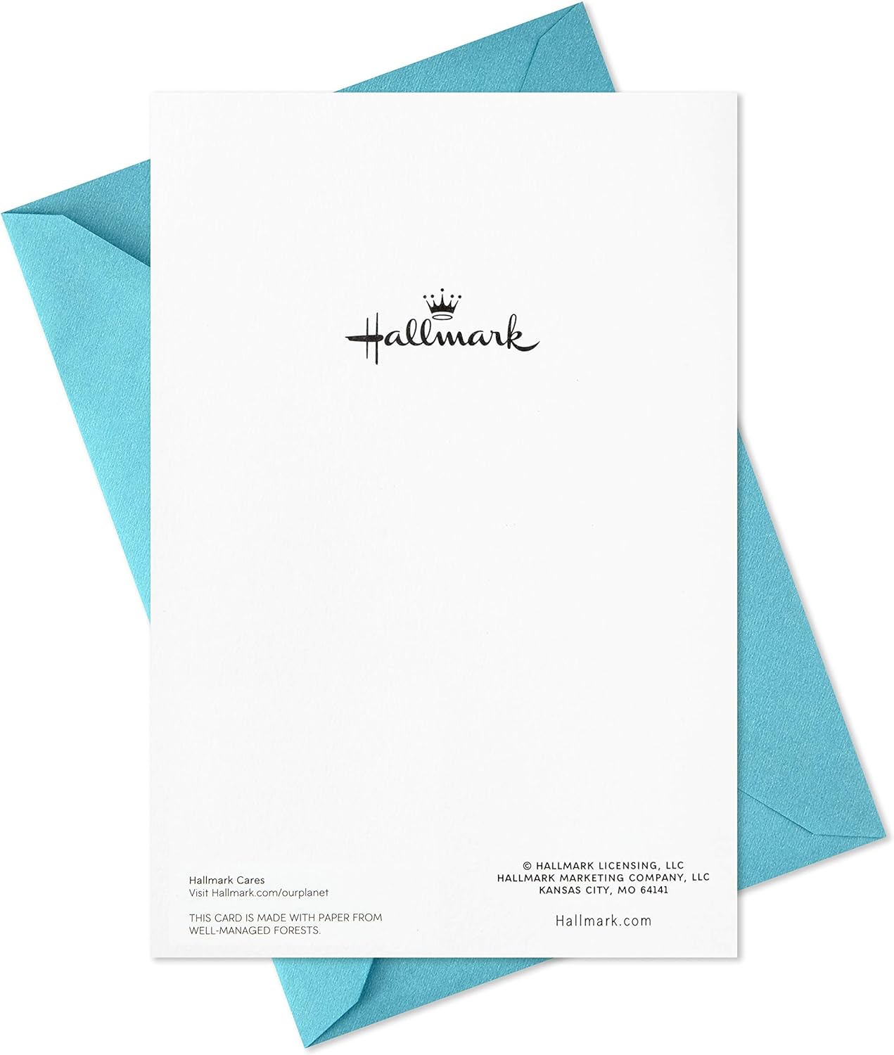 Happy New Year Cards, Peace and Joy (10 Cards with Envelopes)