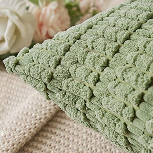 Pack of 2 Decorative Fall Throw Pillow Covers 18x18 Inch Pillow for Sofa Living Room Couch Bed