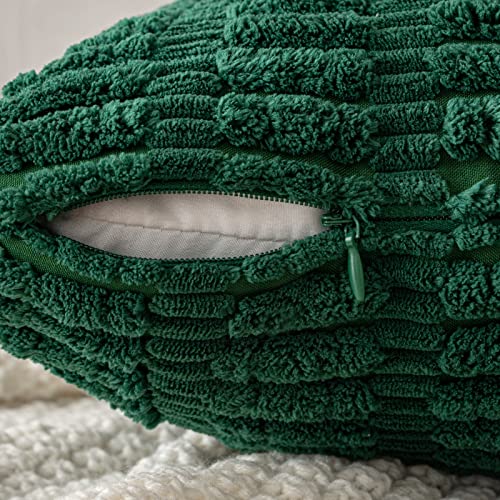 Pack of 2 Decorative Fall Throw Pillow Covers 18x18 Inch Pillow for Sofa Living Room Couch Bed