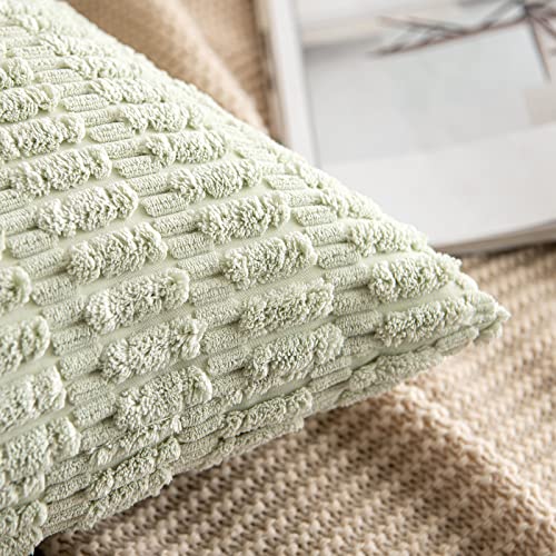 Pack of 2 Decorative Fall Throw Pillow Covers 18x18 Inch Pillow for Sofa Living Room Couch Bed