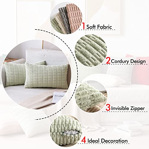 Pack of 2 Decorative Fall Throw Pillow Covers 18x18 Inch Pillow for Sofa Living Room Couch Bed