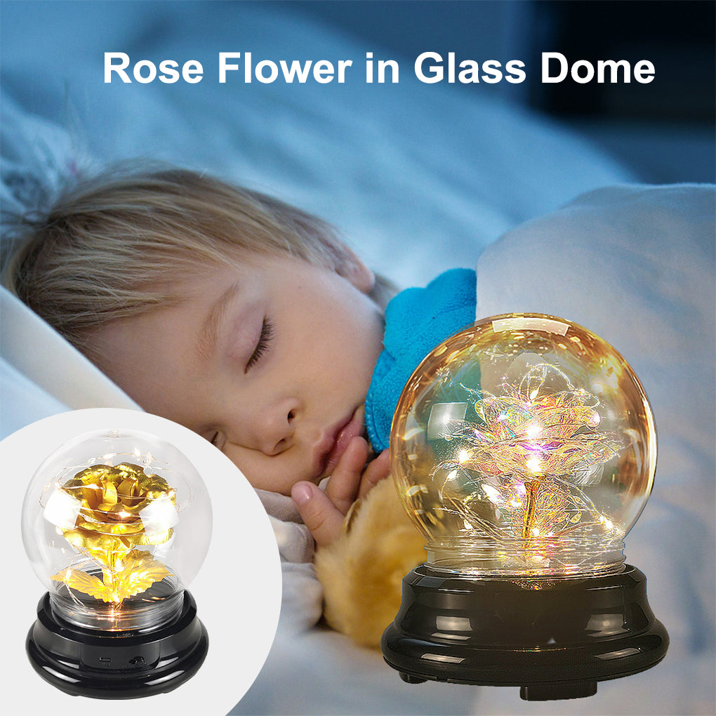 Rose Flower in Glass Dome w/ LED Light