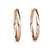 18k White Gold Hoop Earrings with Crystals Rose Gold Female