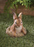 Curious Life-Like Bunny Statue Garden Decors