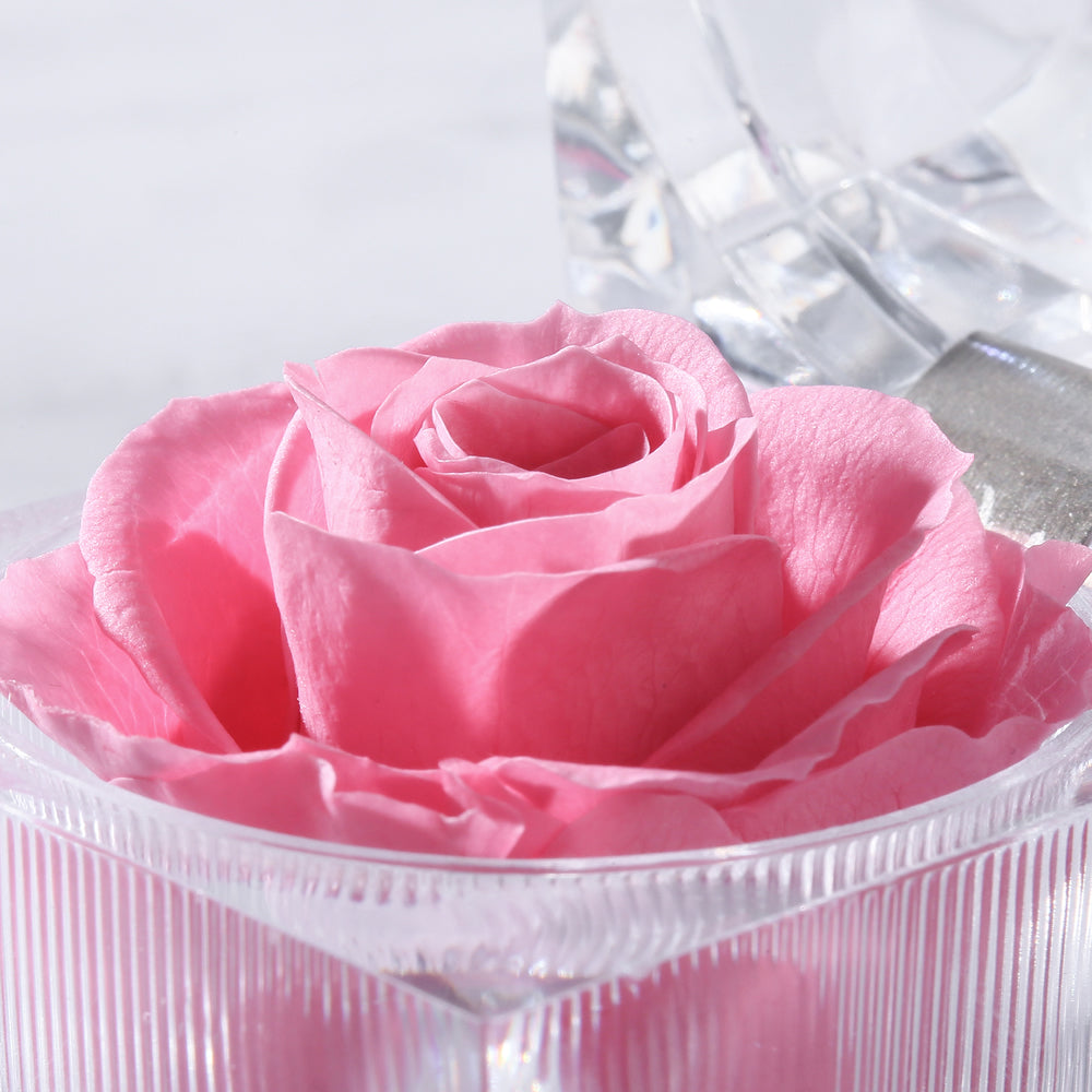 Preserved Forever Rose Acrylic Ring Box Gift for Women
