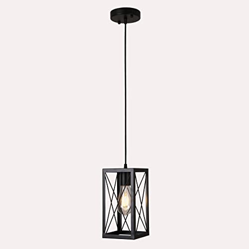 Plug in Pendant Hanging Light Industrial Fixtures