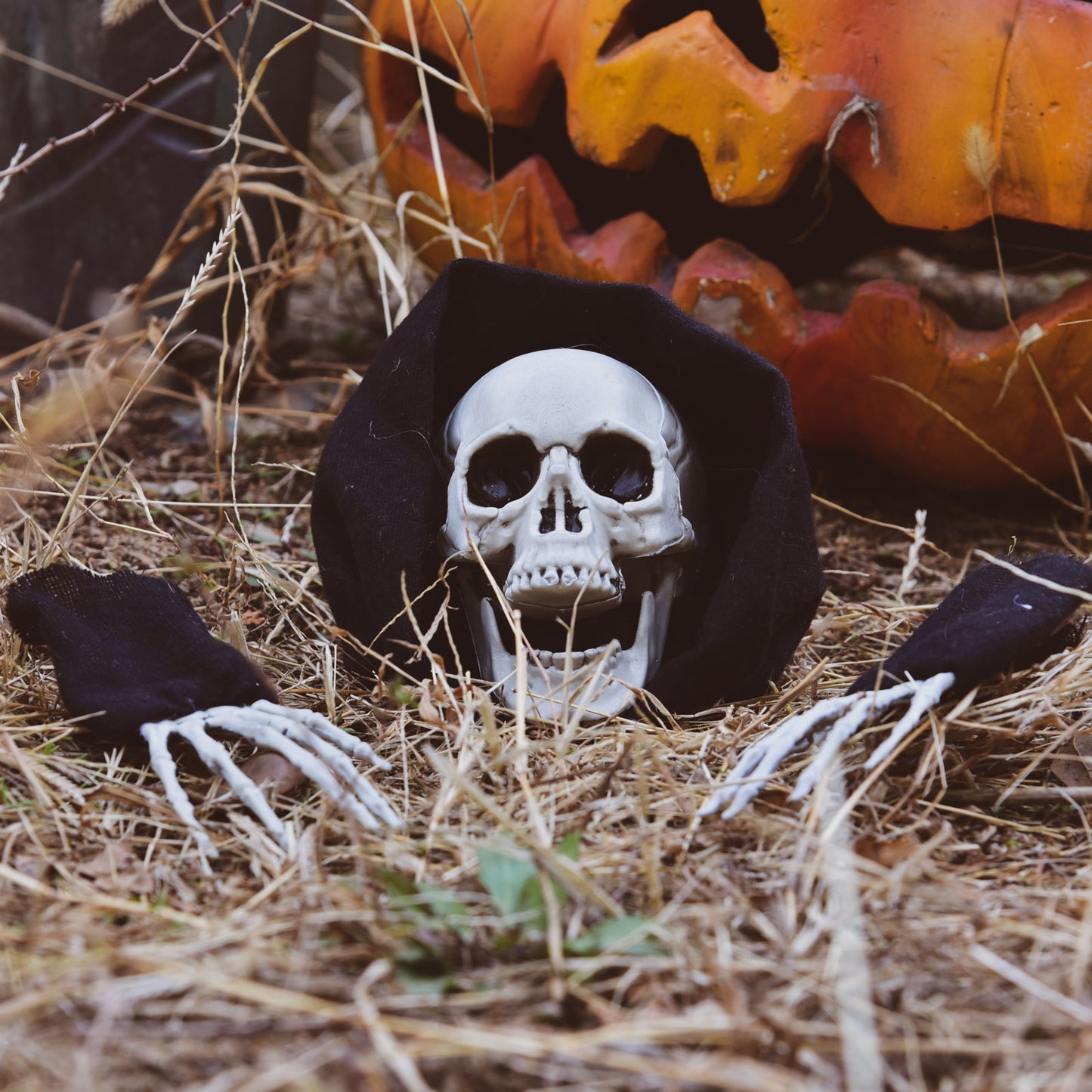 6 Pcs Halloween Skeleton Stakes Outdoor Decorations