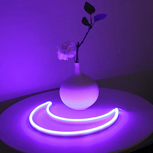 LED Moon Neon Light for Home Decoration