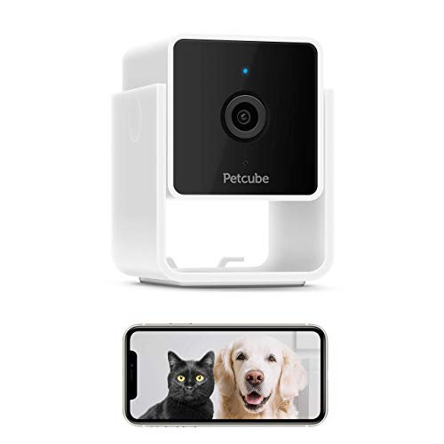 Monitoring Camera w/ Built-in Vet Chat for Cats & Dogs, 1080p HD Video, Night Vision, Two-Way Audio