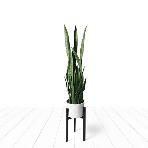 Artificial Snake Plant 38" Large Faux Sansevieria Plant