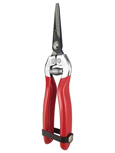 Small Garden Hand Pruner & Shears