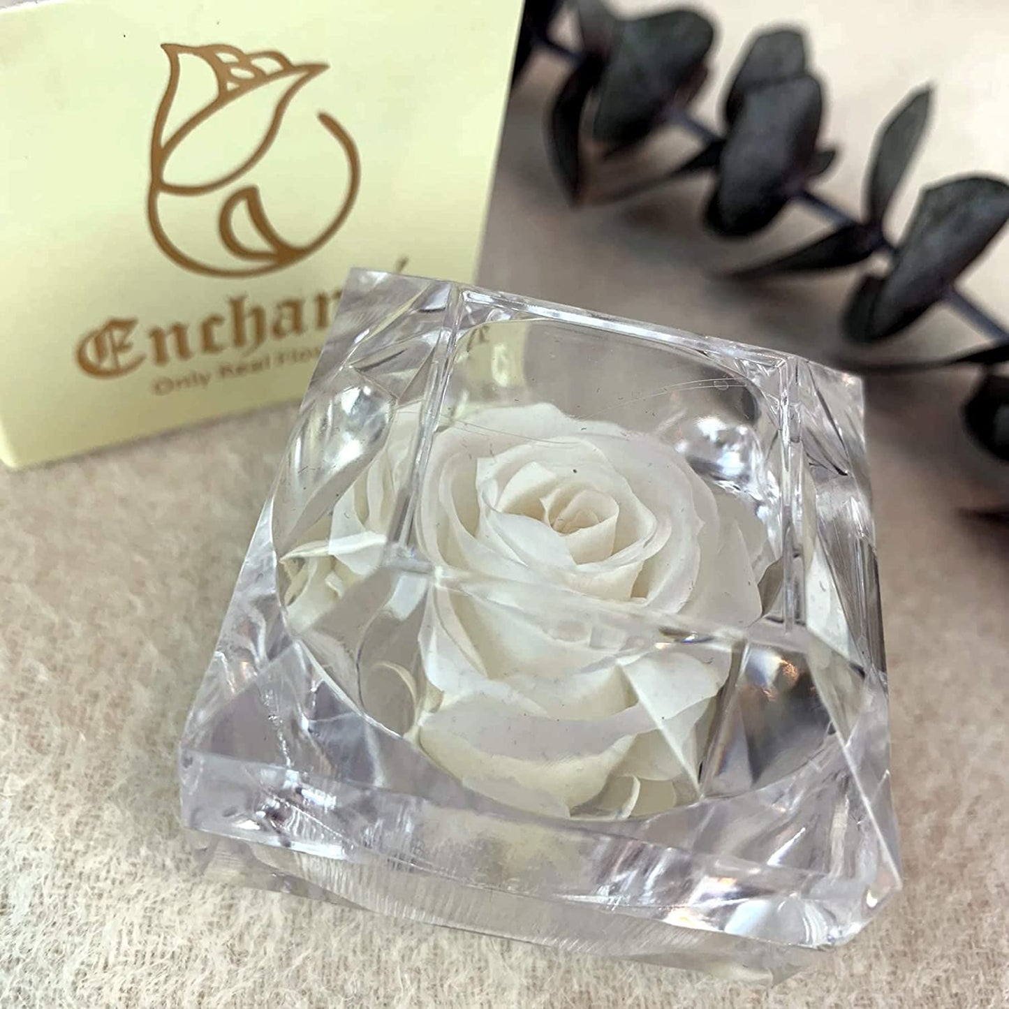 Preserved Forever Rose Acrylic Ring Box Gift for Women