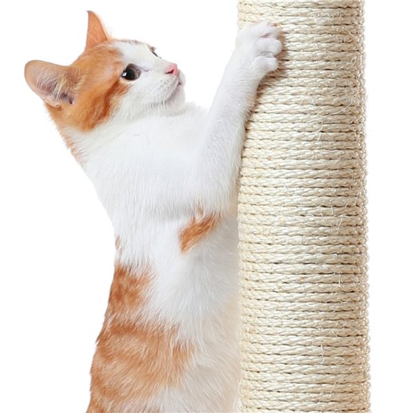 36'' H Cat Tree Tower Cat House with Double Condos Scratching Posts Sisal Rope Furry Ball for Cats and Kittens, Beige