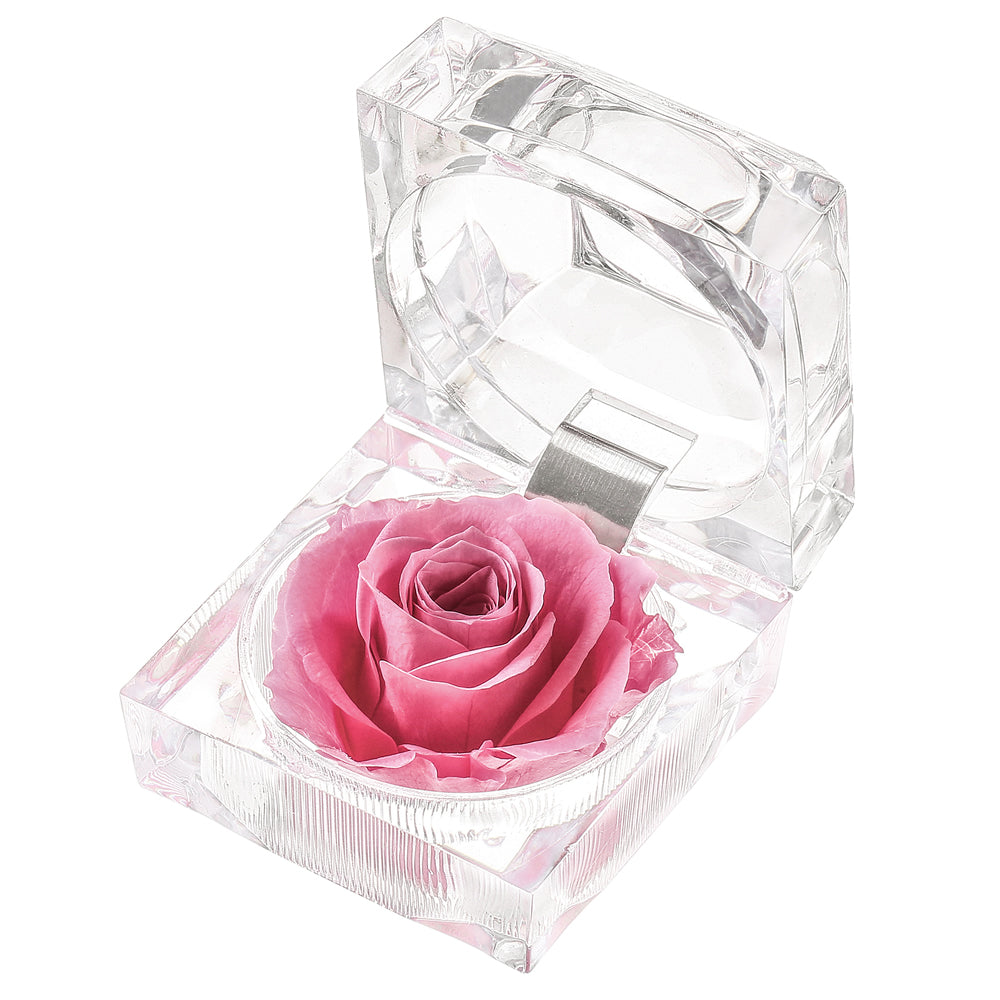Preserved Forever Rose Acrylic Ring Box Gift for Women