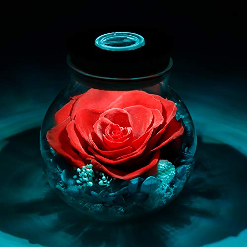 Preserved Real Roses w/  Colorful Mood Light Wishing Bottle