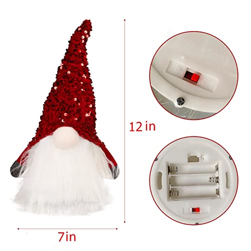 12" Lighted Christmas Gnome Decoration