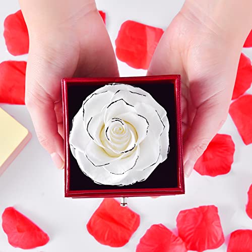 Preserved Rose w/ I Love You Necklace on Mothers Day/Valentines/Birthday