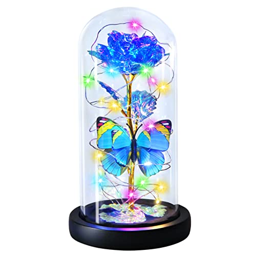 Enchanted Galaxy Light Up Butterfly Rose  Gifts in Glass Dome