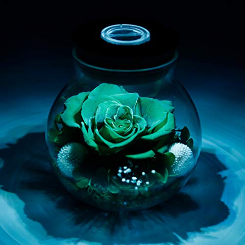 Preserved Real Roses w/  Colorful Mood Light Wishing Bottle