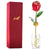 24k Gold Rose Valentines Day Gifts for Women (Crystal Angel Stand)