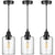 Adjustable Light Fixtures, Seeded Glass Shade Pendant Light-3 Pack