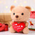 I Love You Stuffed Teddy Bear w/ Heart Plush Toy Gift for Valentine's Day