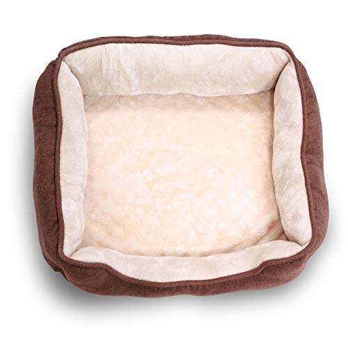 Reversible Rectangle Pet Bed w/ Dog Paw Printing, 25 by 21 inches