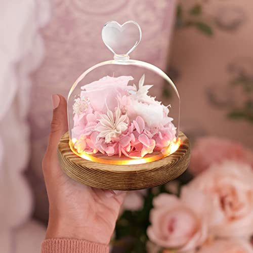 Preserved Light Up Flower Rose Gift for Women