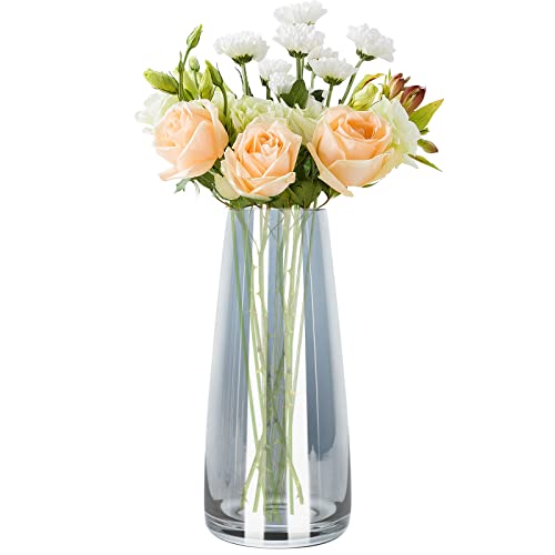 Modern Clear Glass Flower Vase 8.7 Inch