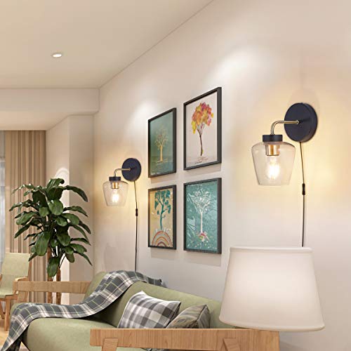 Modern Plug in Wall Sconce, w/  Brass Accent Edison Socket